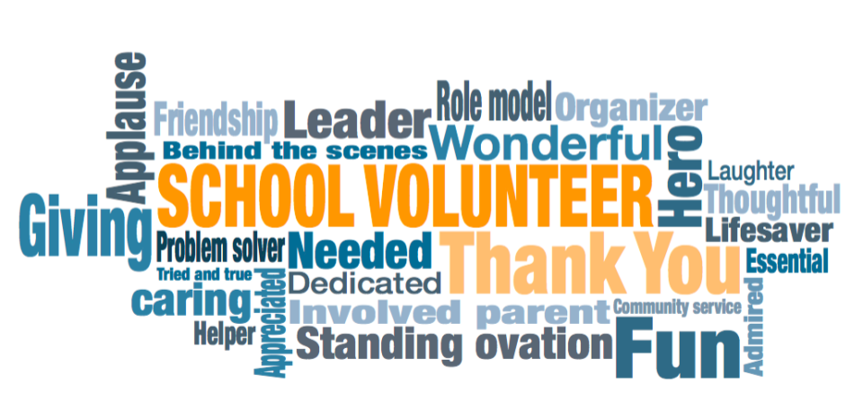 Volunteer Image