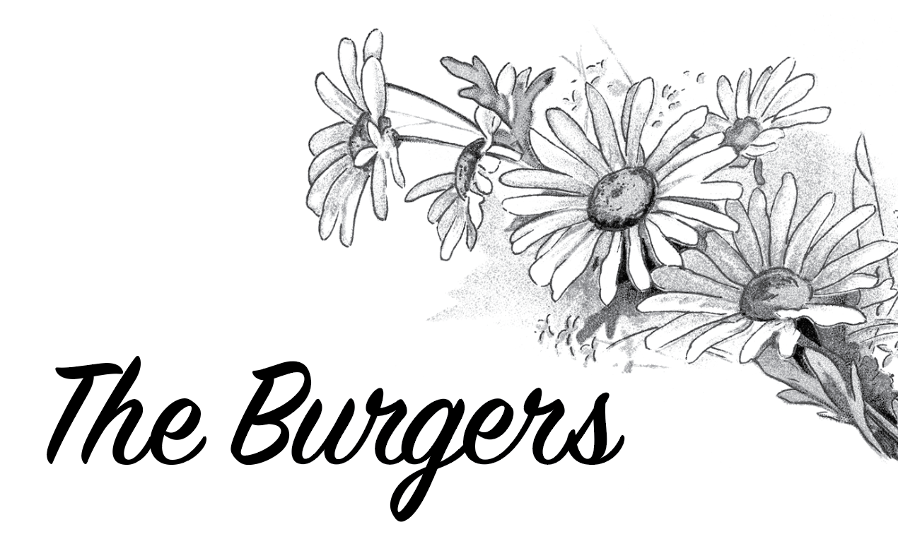 The Burgers with Diasies aartwork