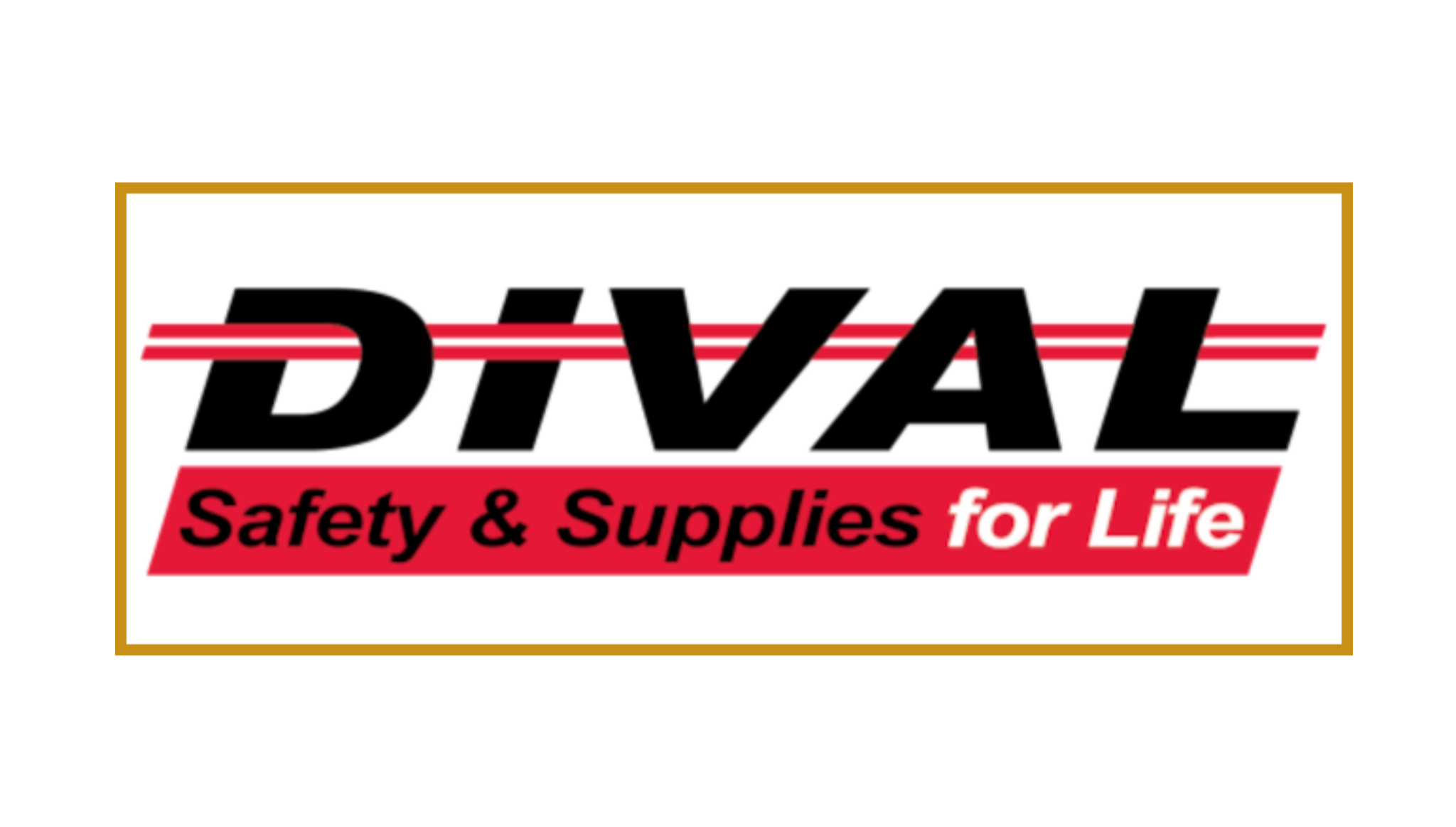 DiVal Bronze Sponsor