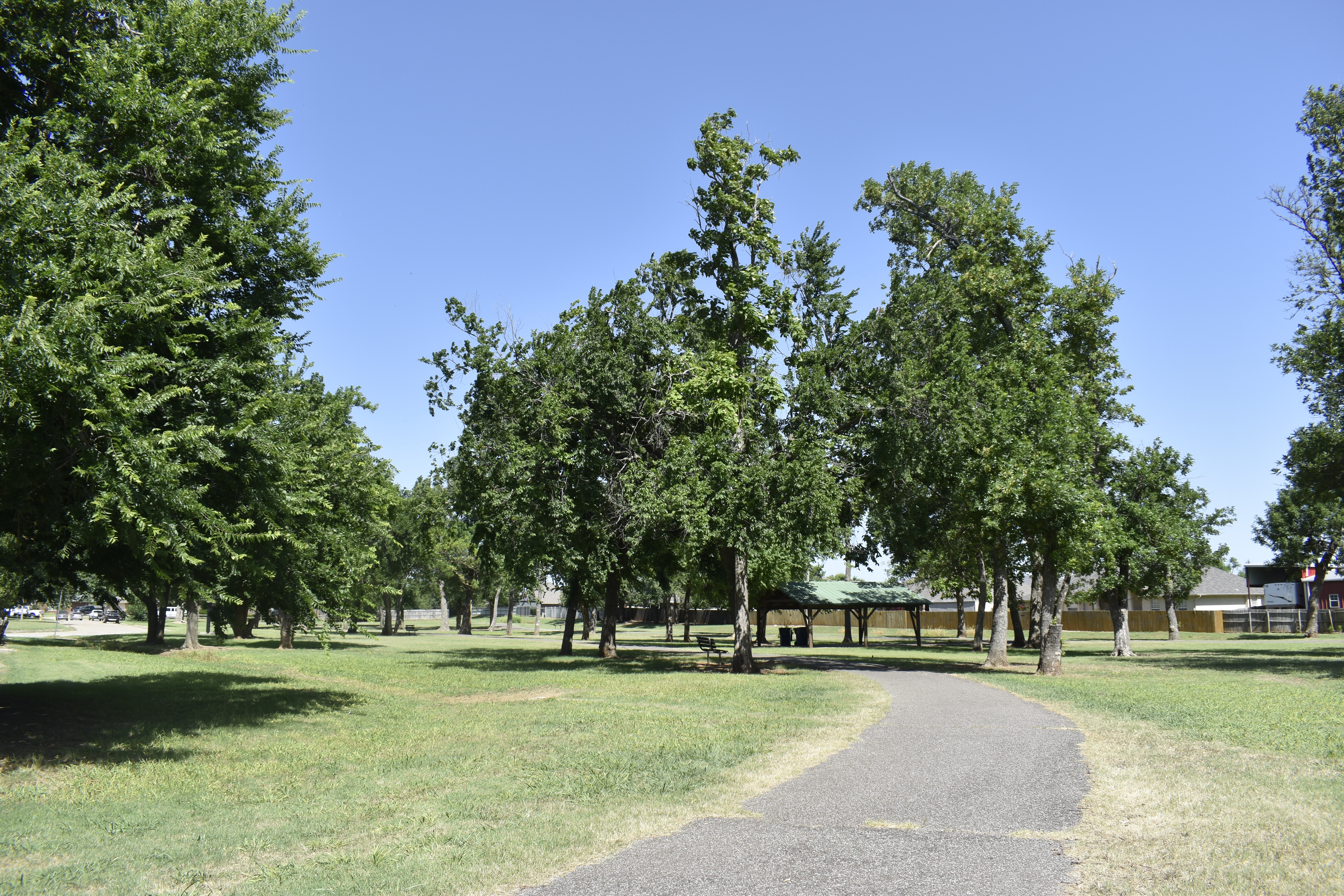 Wild Horse park and Brittany's play adventure 