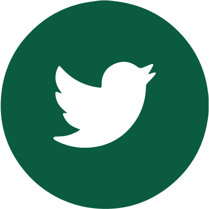 Twitter (now X) bird  logo