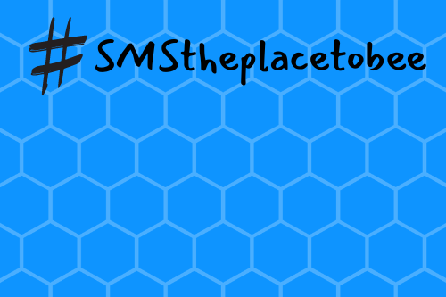 #SMStheplacetobee on blue background