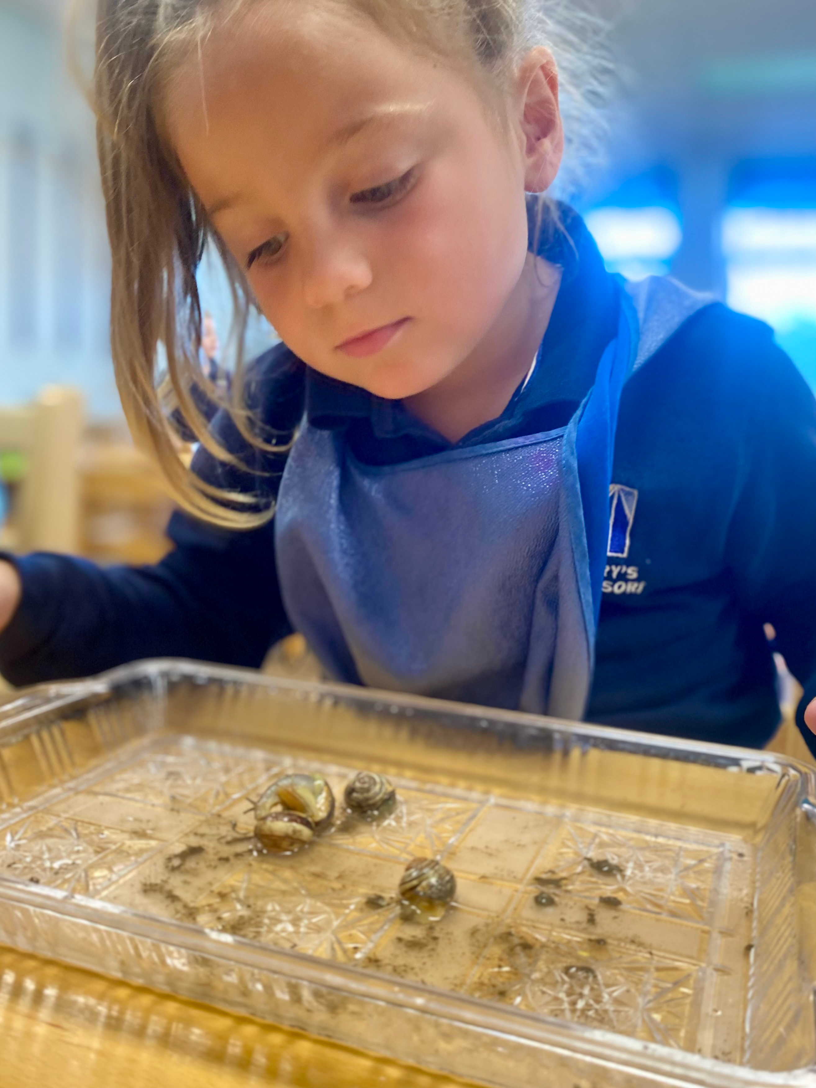 exploring nature, snails