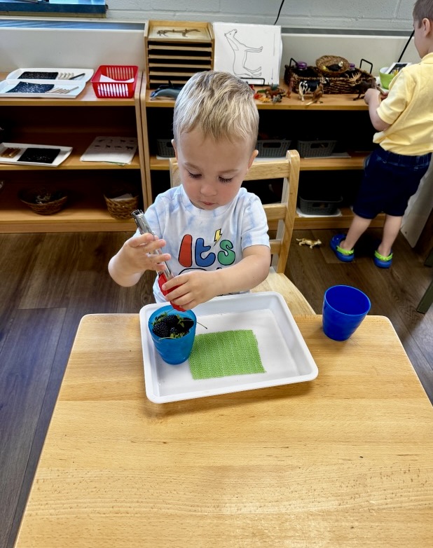 Montessori Summer Adventures 2024
