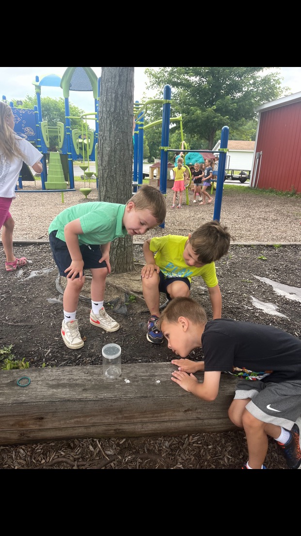 Montessori Summer Adventures 2024