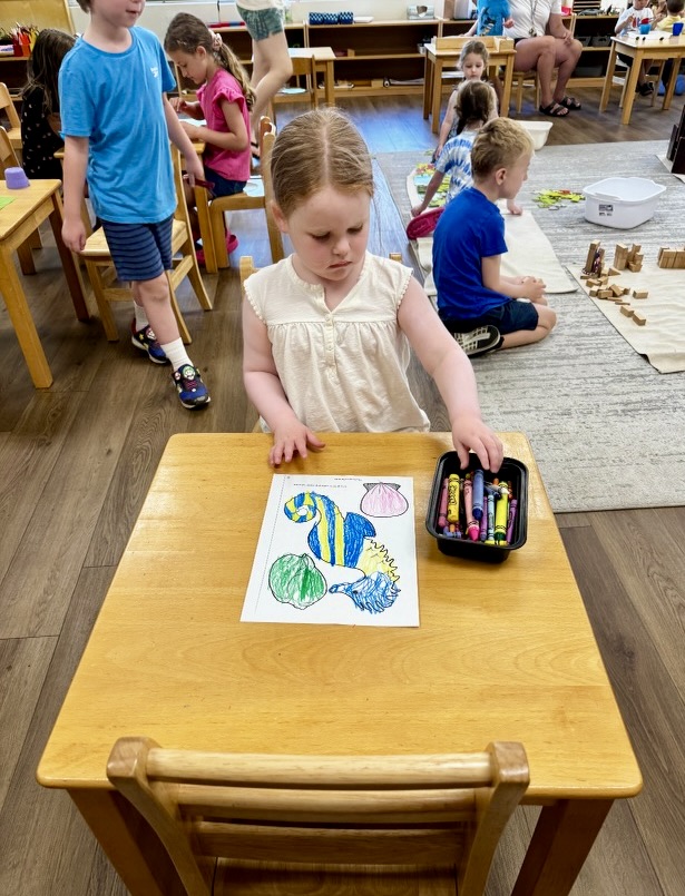 Montessori Summer Adventures 2024