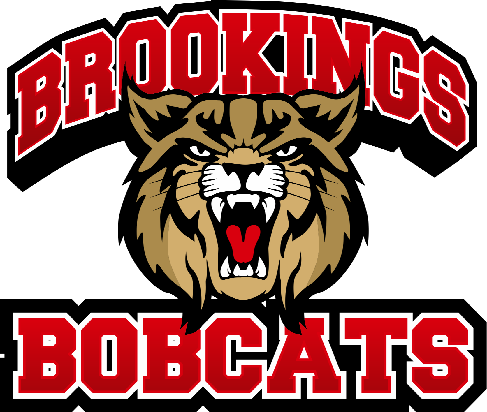 brookings logo