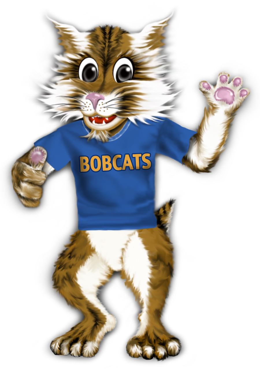 bobcat