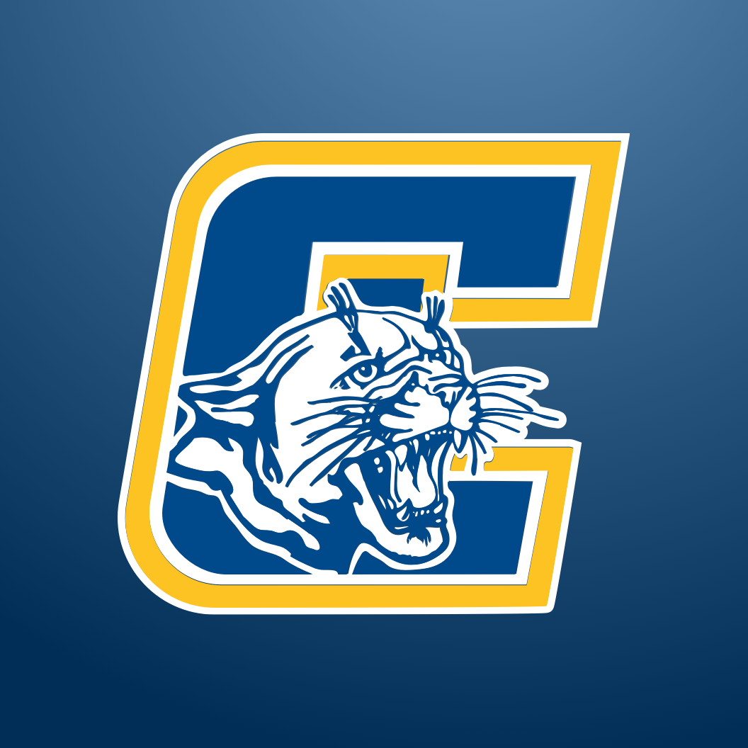 Counseling Center Homepage Campbellsport MiddleHigh School