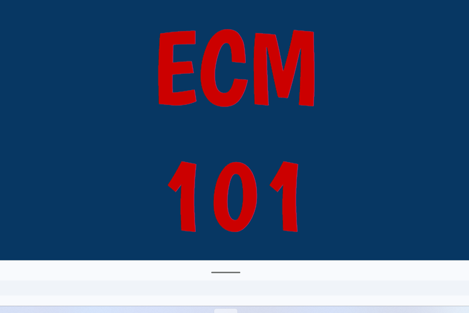 ECM 101 