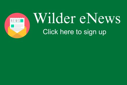 Wilder's Weekly eNews