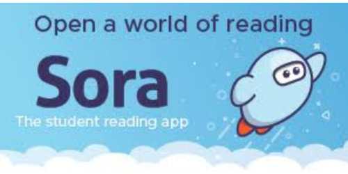 Sora ebook app