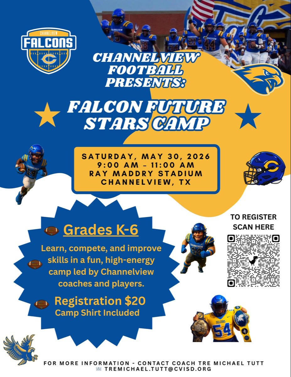 Falcons Future Stars Camp