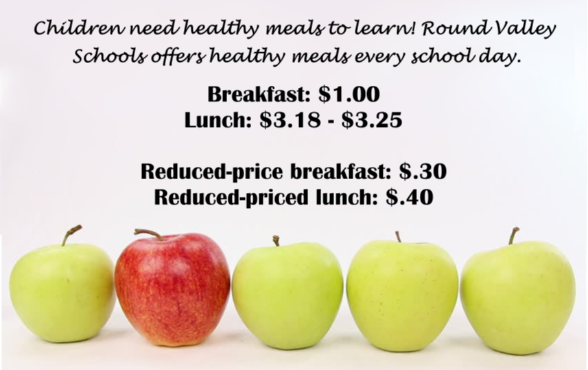 Healthy Meals Flyer and Prices