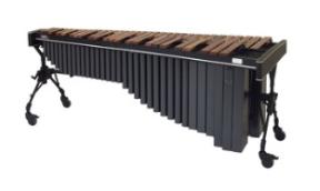 $10,000 Buys a new marimba