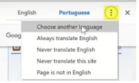 Goggle Chrome Translation Image 