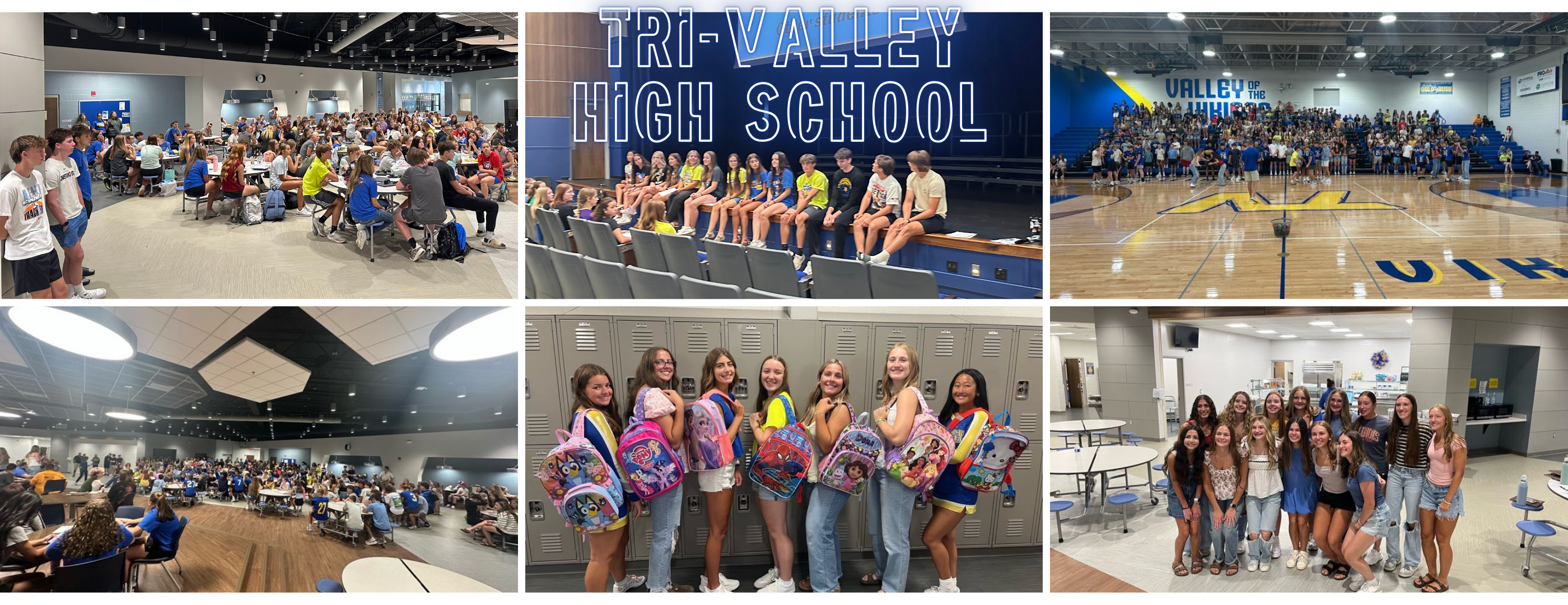 TVHS