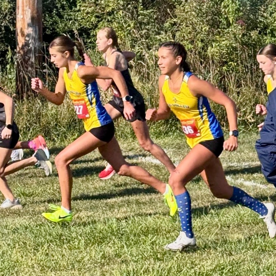 MS XC