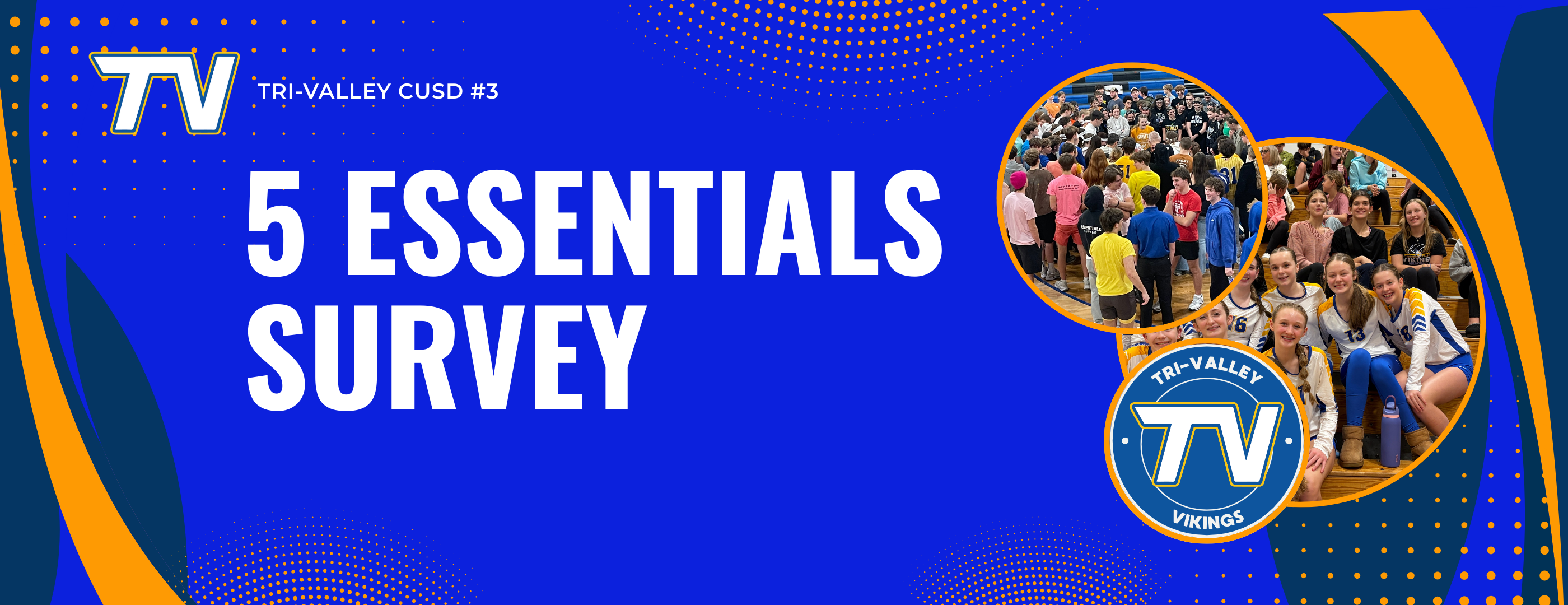 5 essentials survey