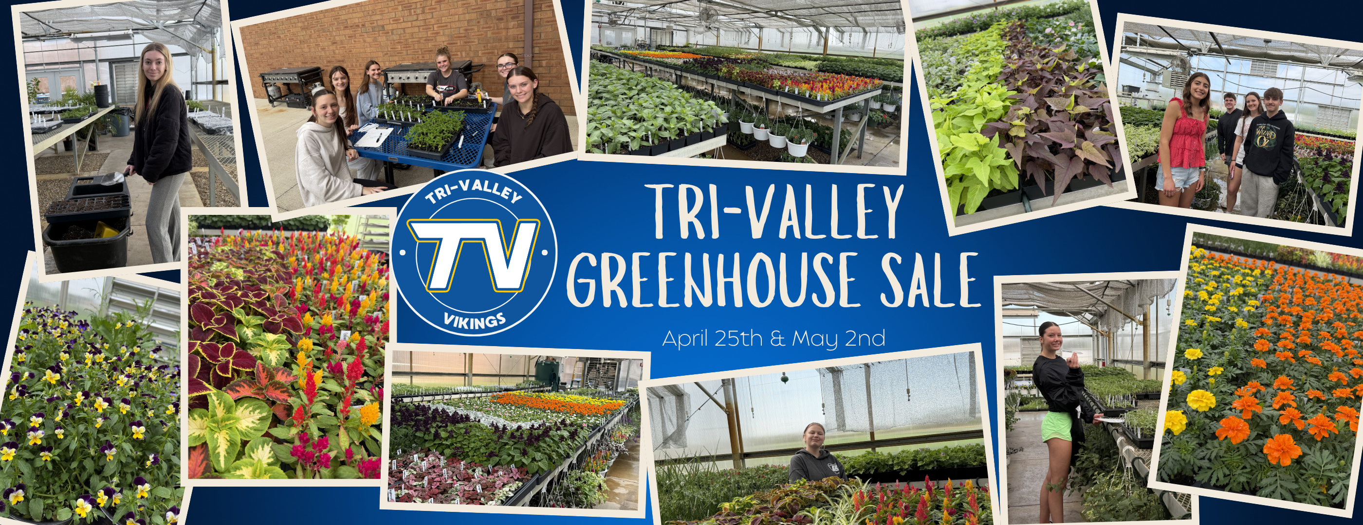 Greenhouse Sale 2026