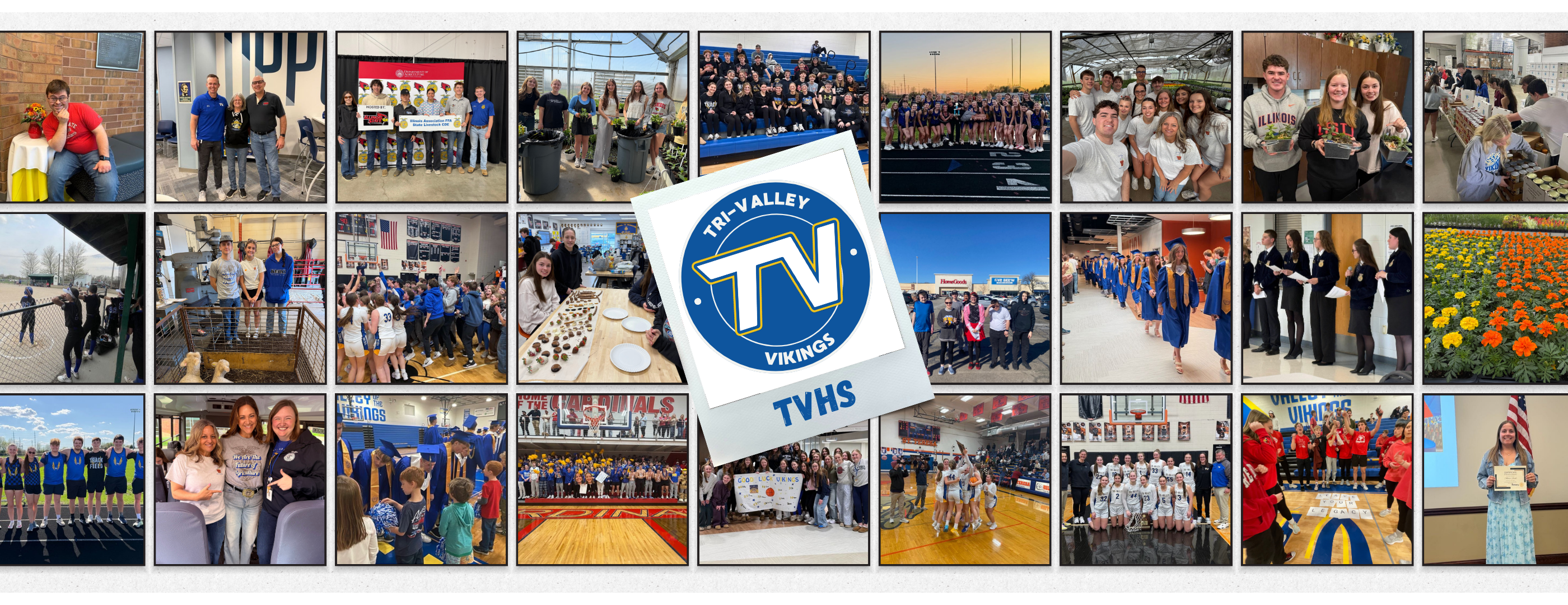 TVHS