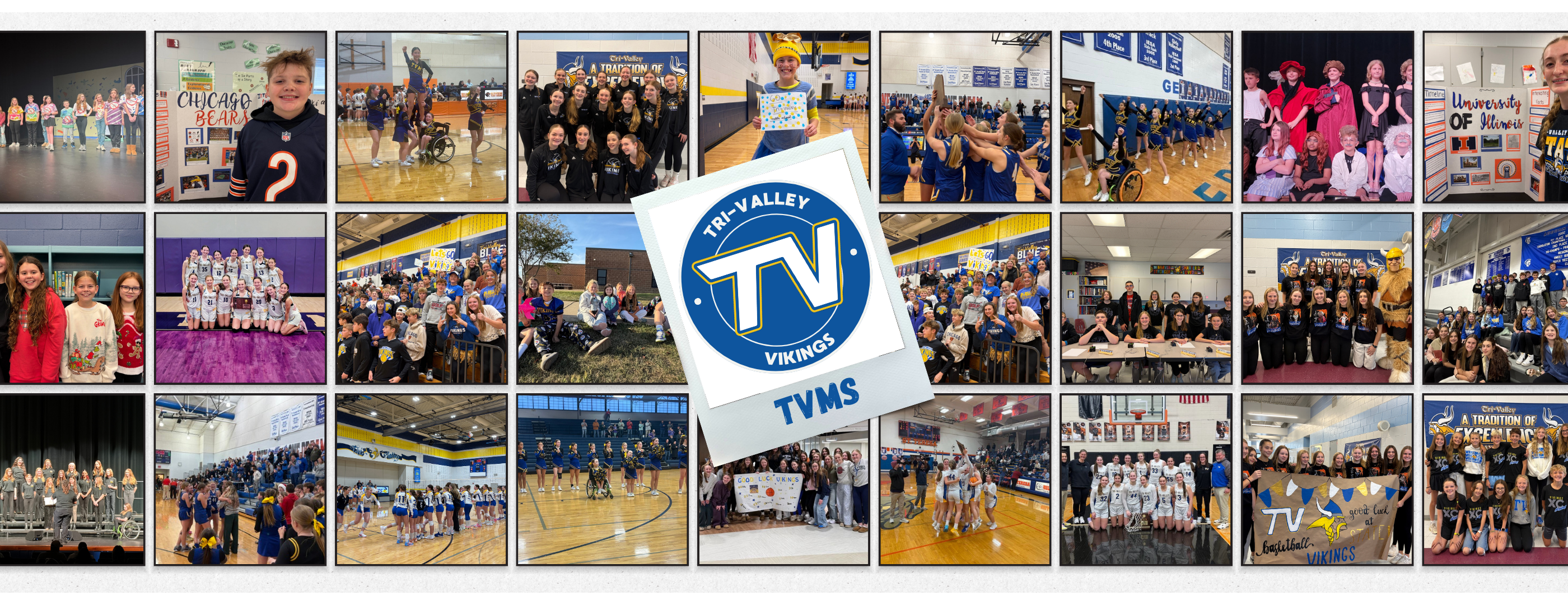 TVMS