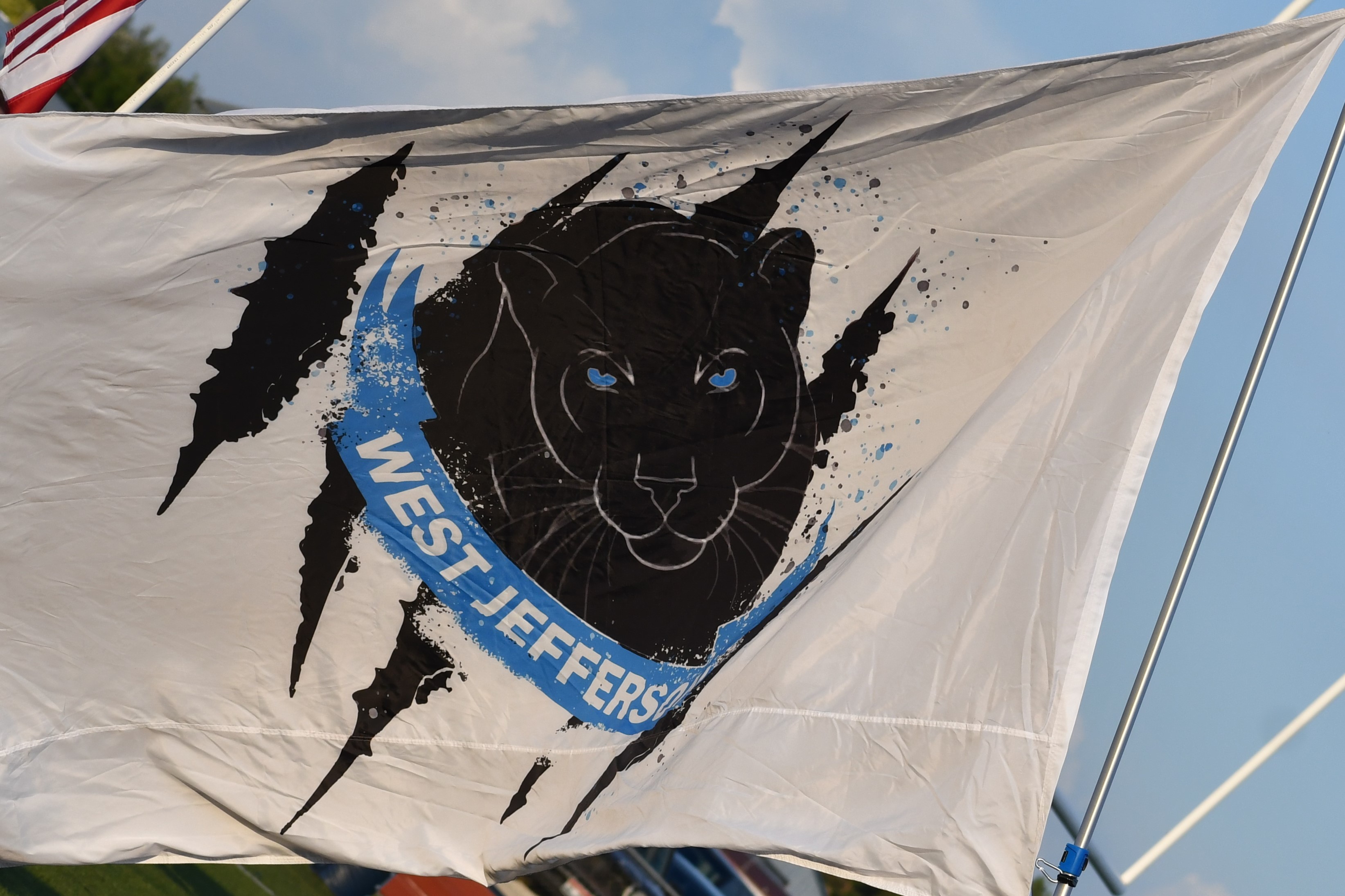 Panther Flag