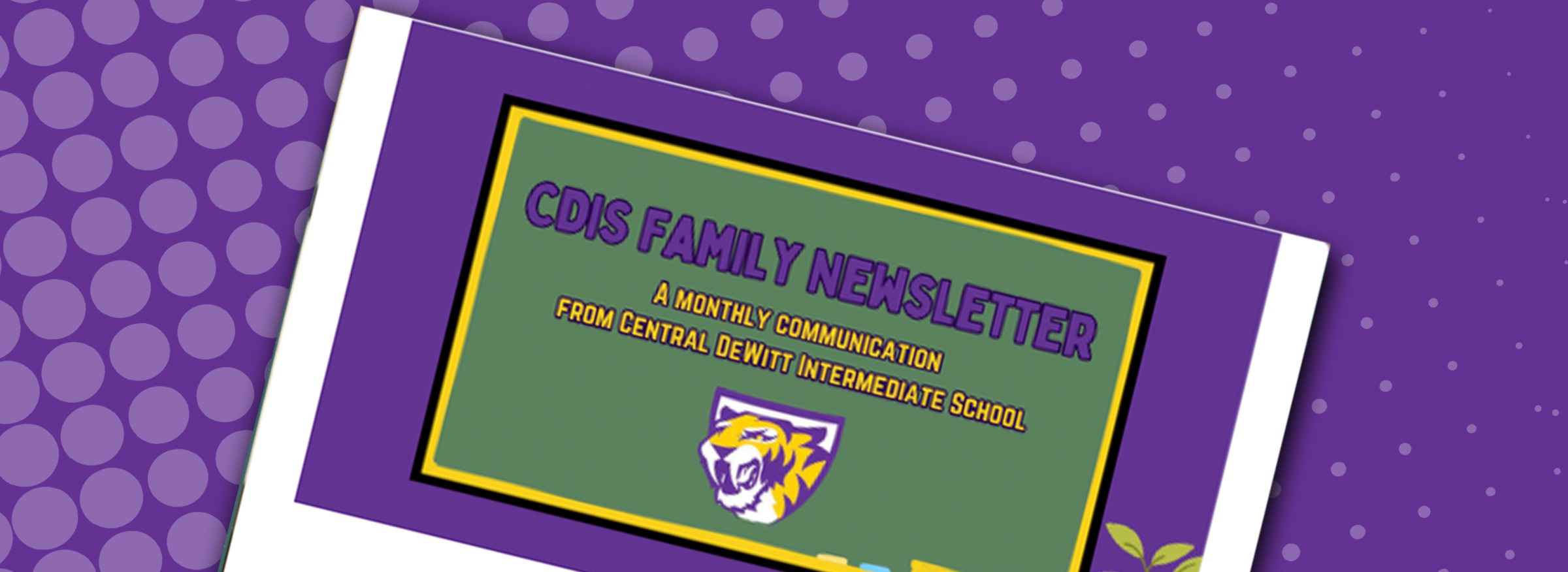 CDIS NEWSLETTER