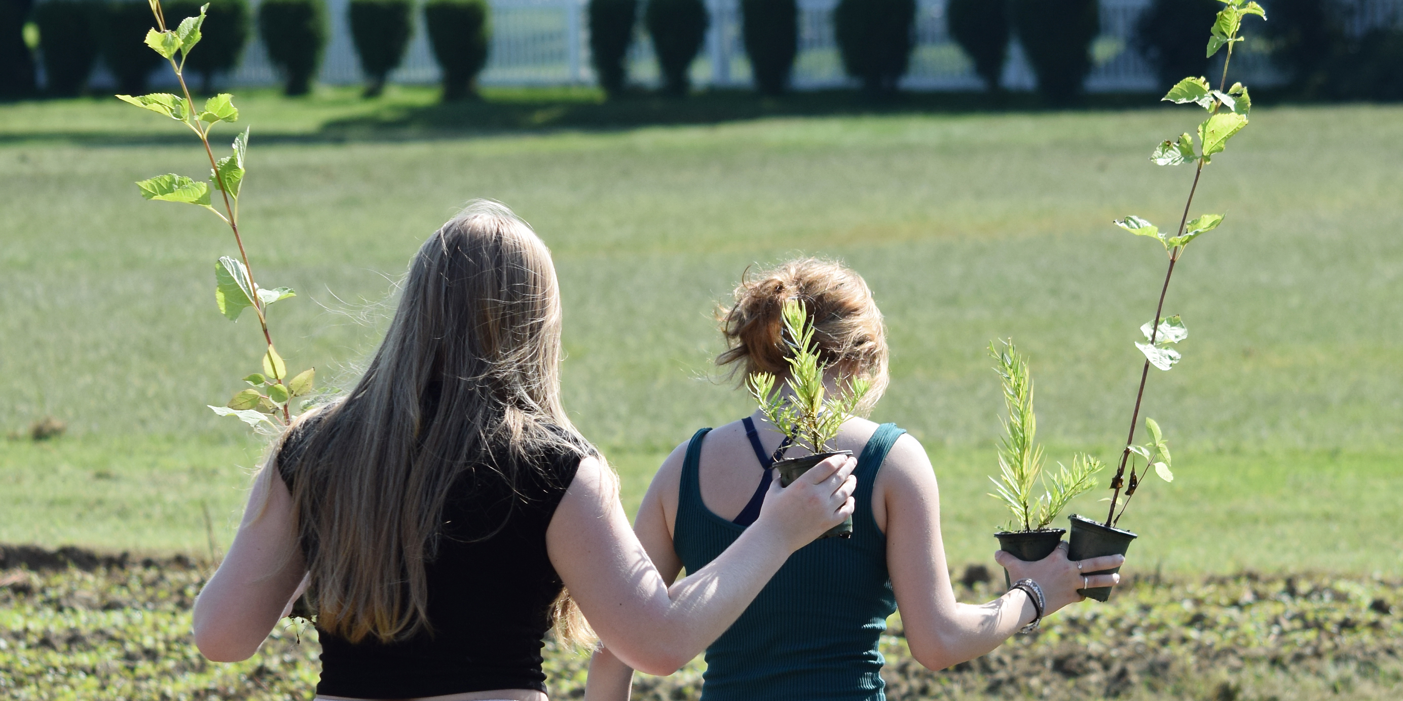 Students holding plants