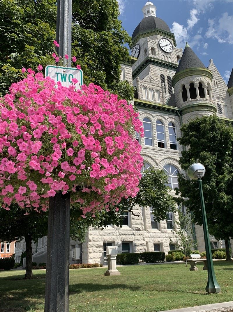 Flowers in front of the city of hall