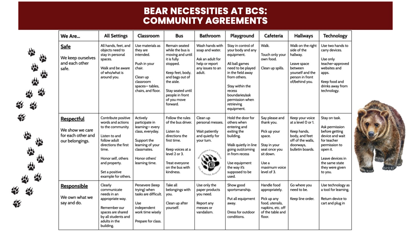 The Bear Necessities of Brownington Central School