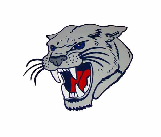 Cougar Mascot