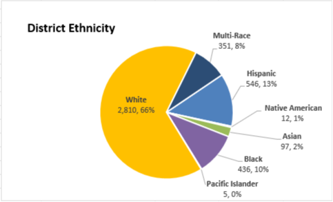 District Ethnicity 