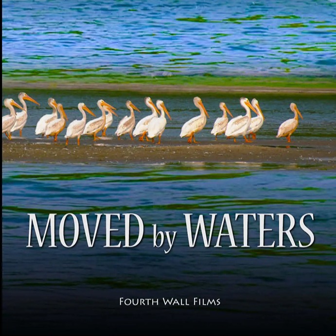 Moved by Waters