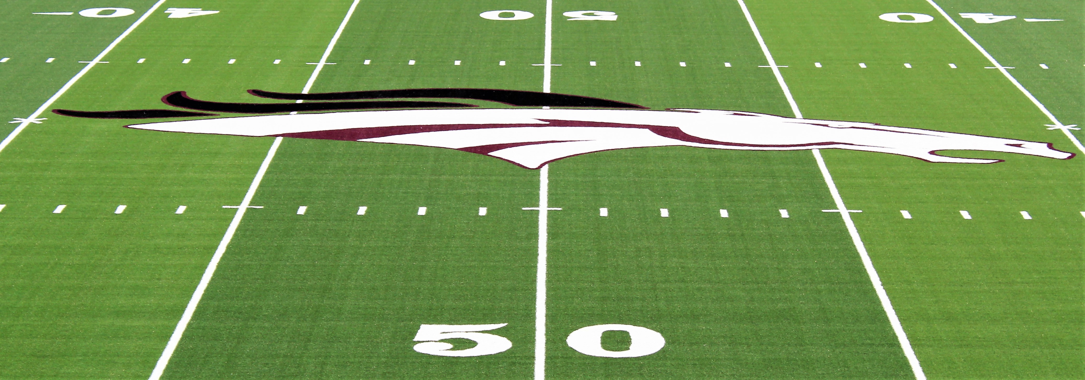 football field logo