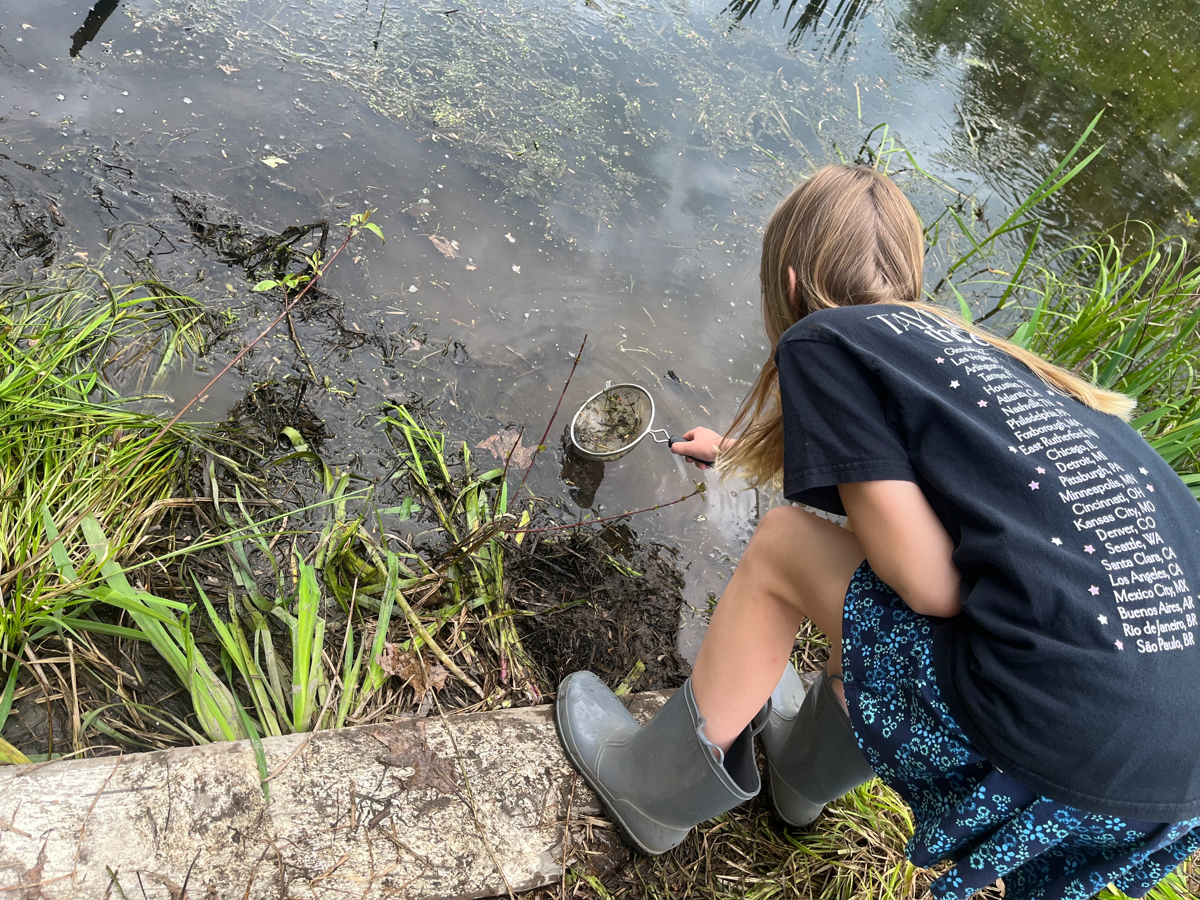 wetland sampling