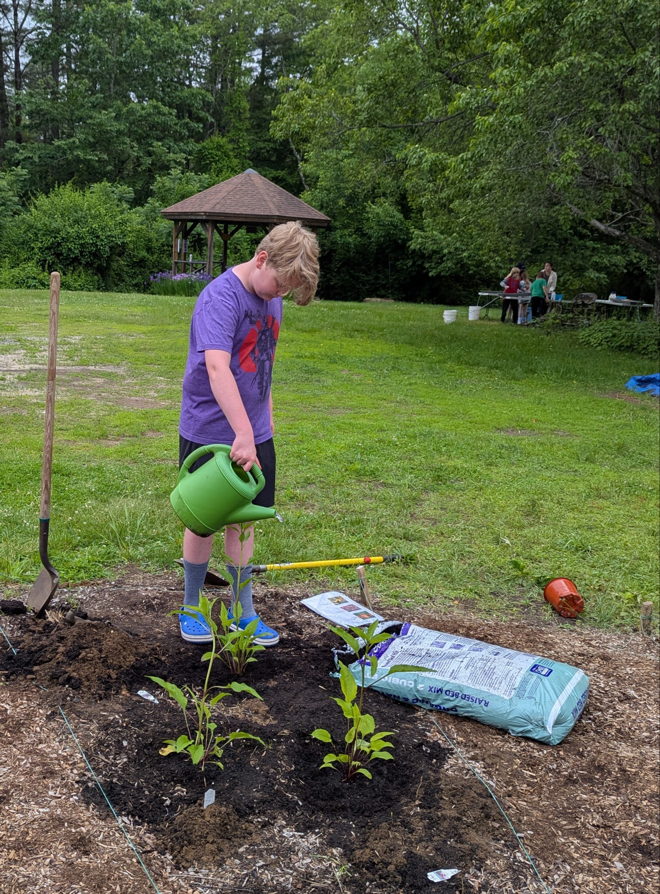 planting pollinatos