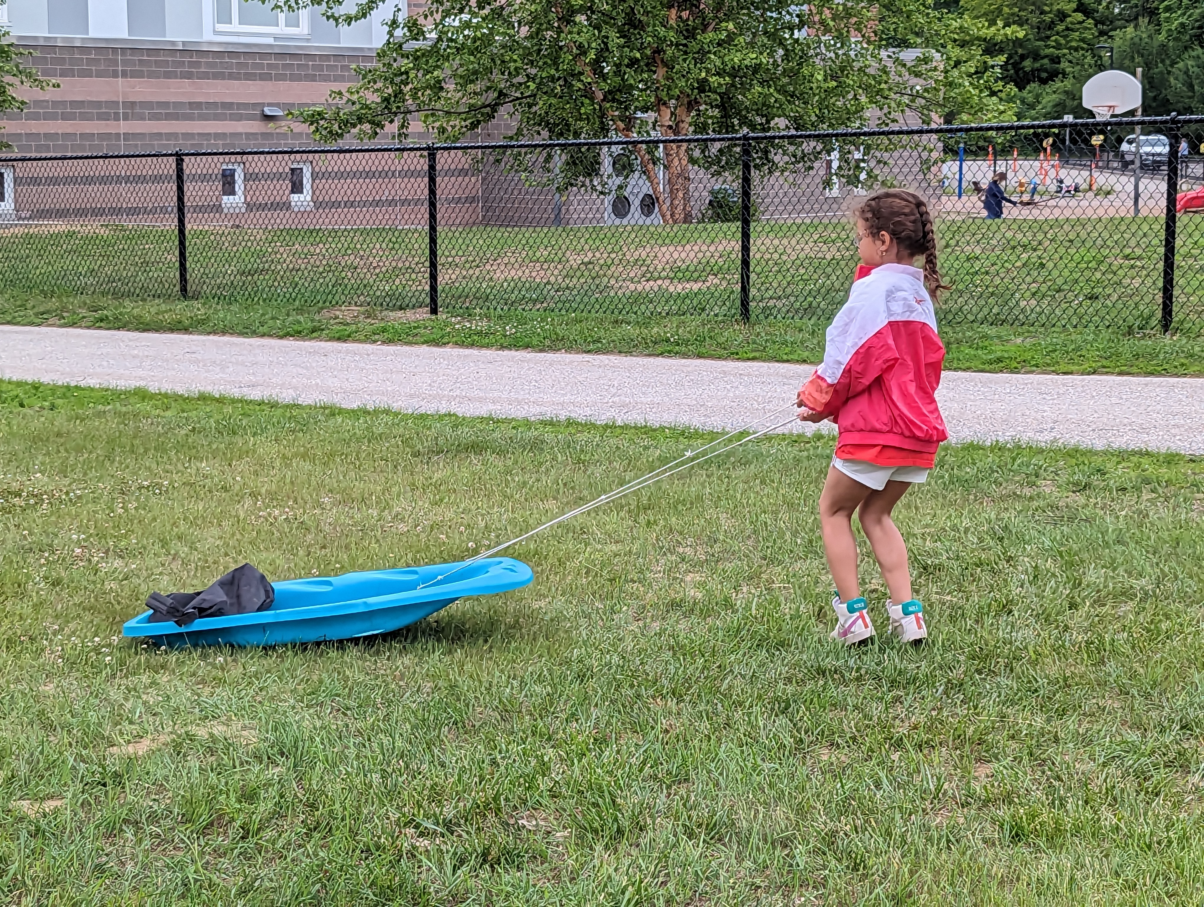sled pull