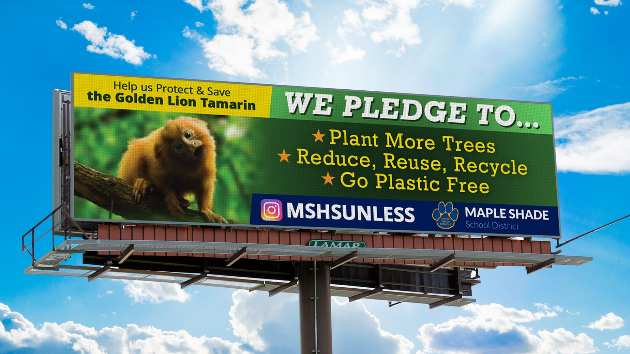 Golden Lion Tamarin billboard