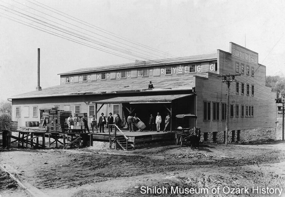 Ozark Poultry and Egg Co., Fayetteville, late 1910s. Ann Wiggans Sugg Collection (S-93-18-16)