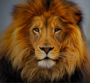 Lions