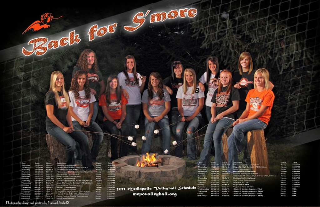 2011 Mediapolis Volleyball Poster