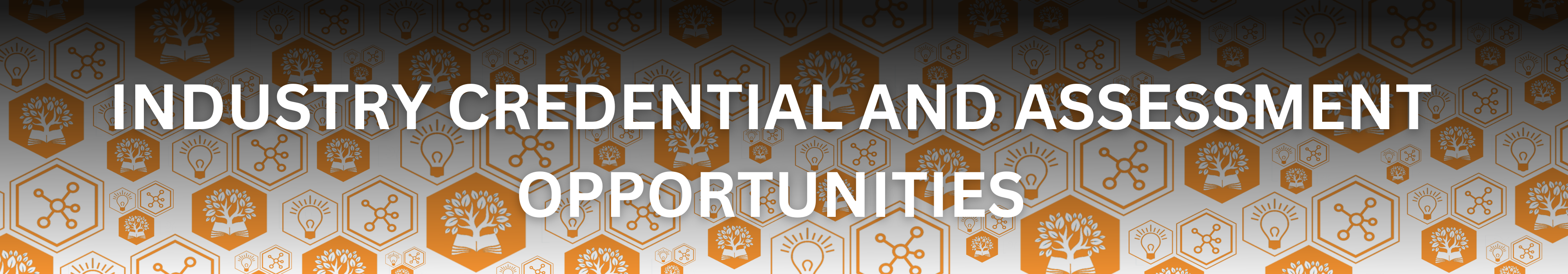 industry credential and assessment opportunities