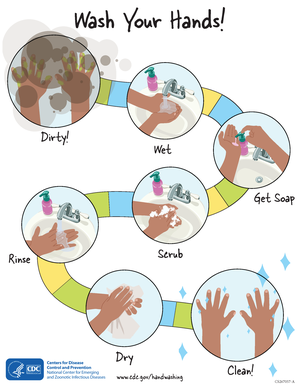 Hand washing steps