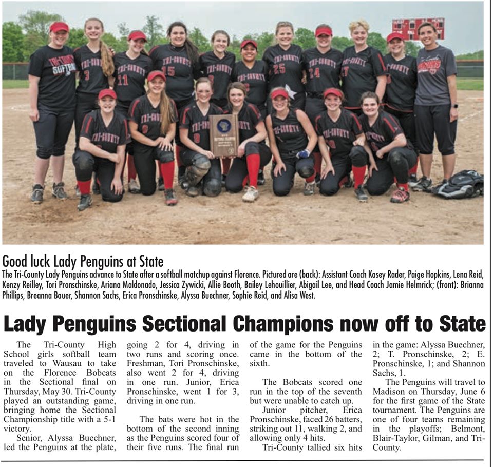 Softball team pictured with new article