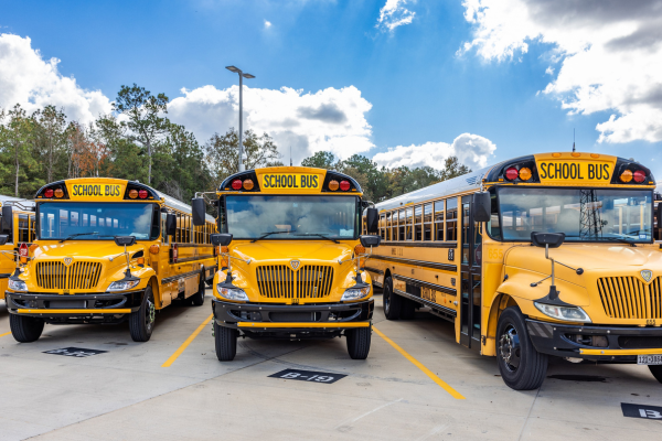 3 school buses in parking lot