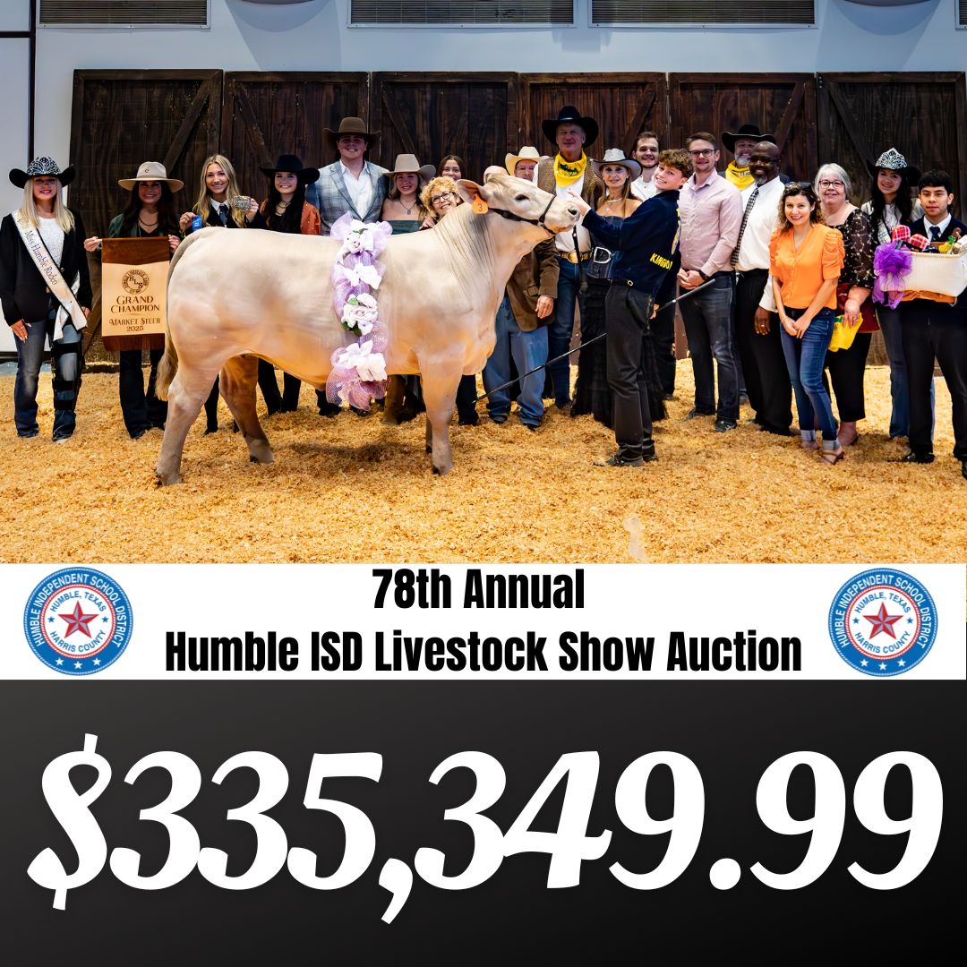 livestock auction