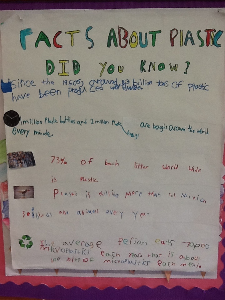 Facts about plastic poster