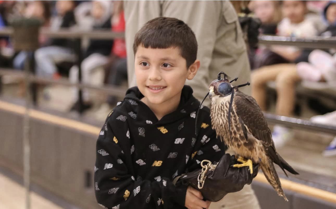 student with hawk