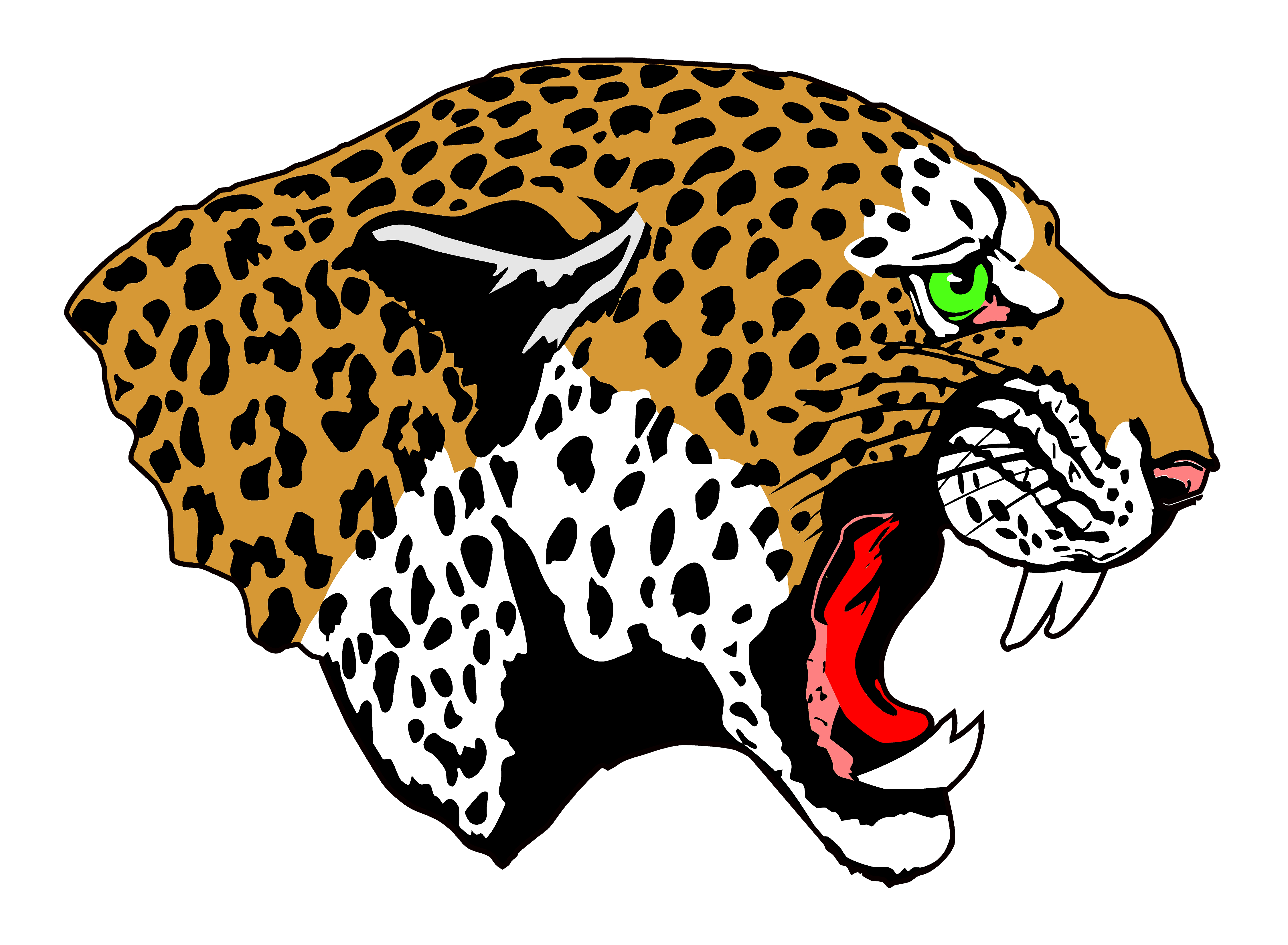Leopard Head